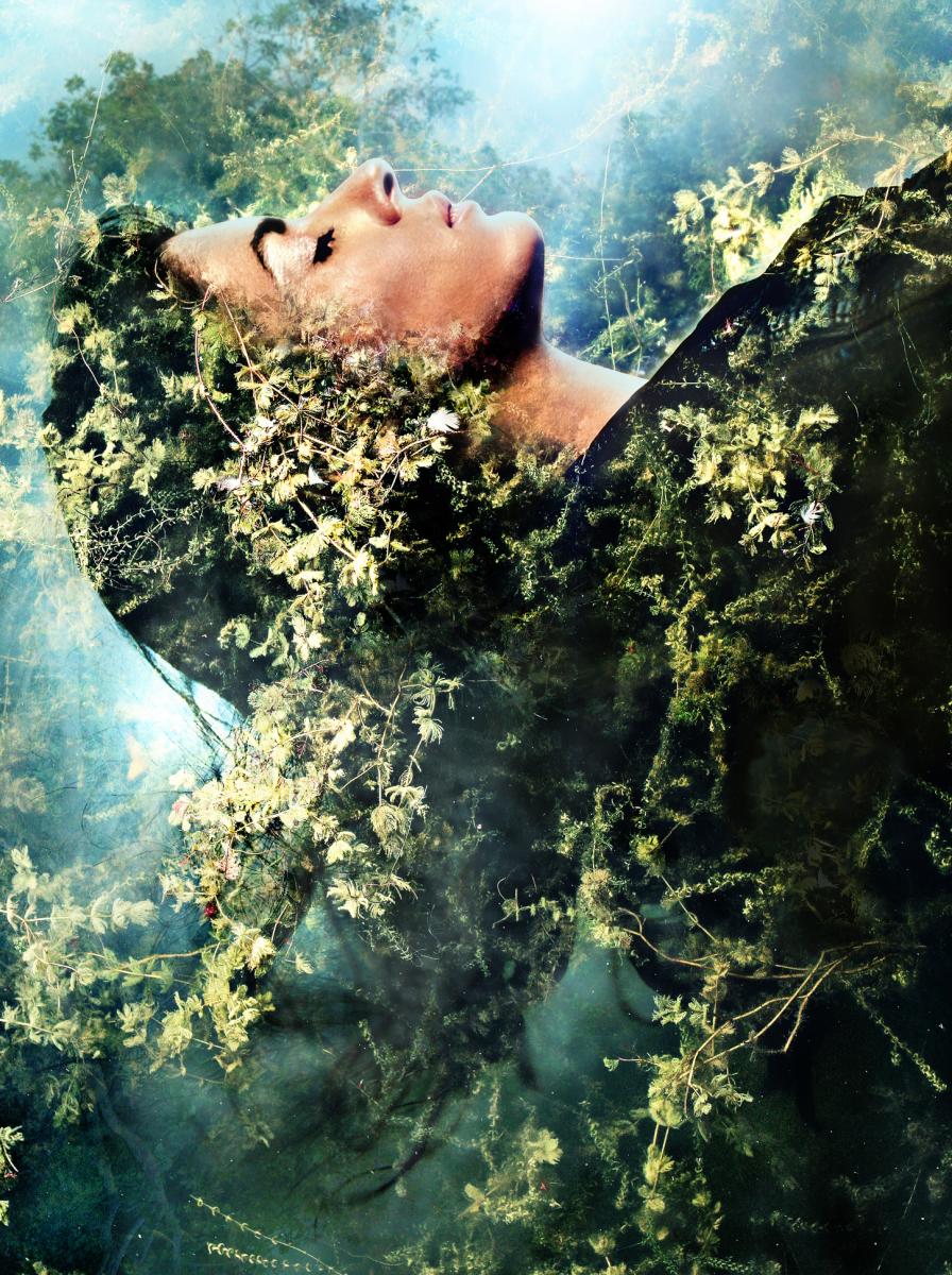 Sleeping Beauty