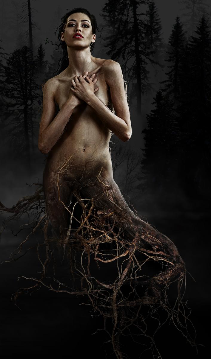 Tree Fairy
