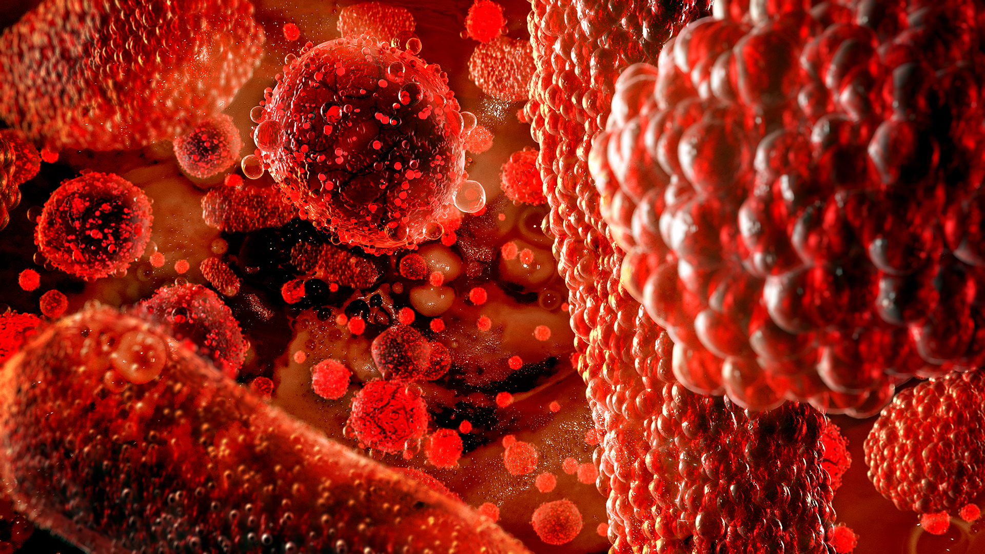 Blood Clotting Agent