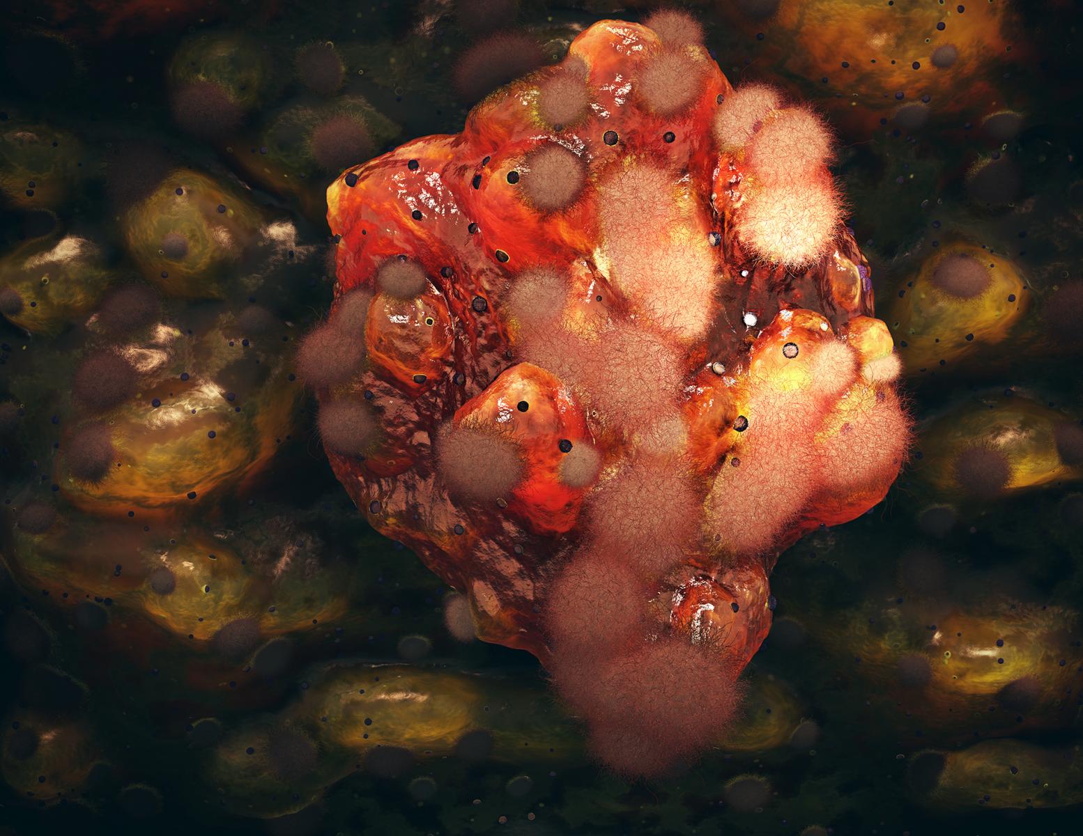 Stem Cell