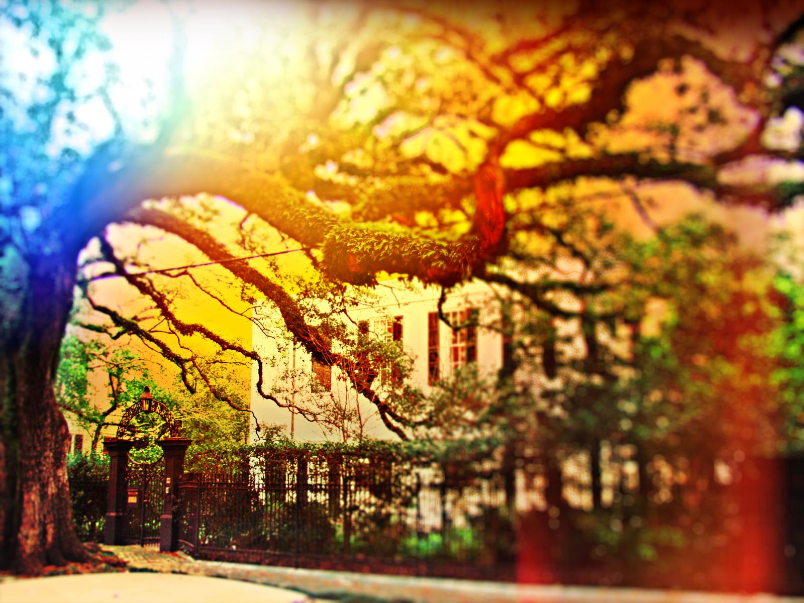 Garden District, New Orleans