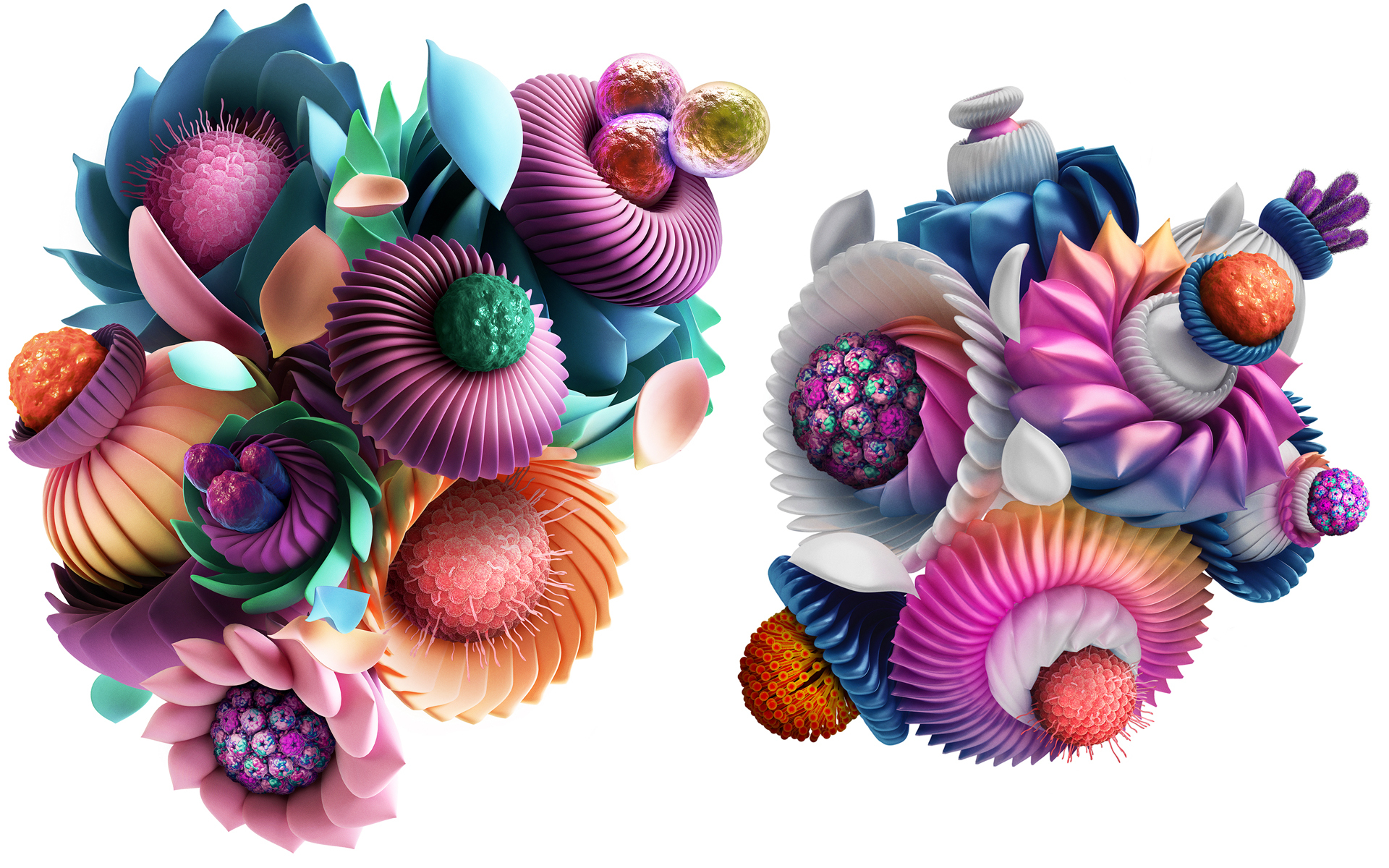 Karius Virus Flowers