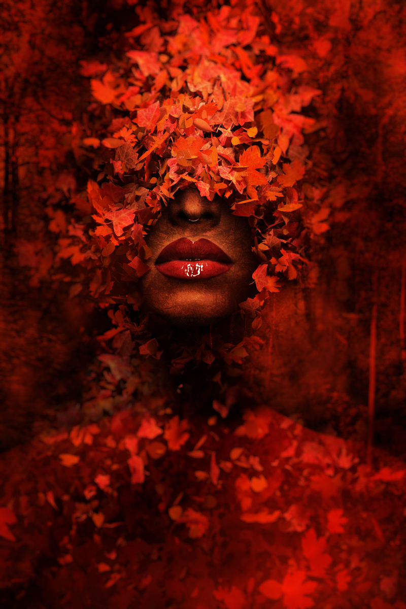 Forest Fairy